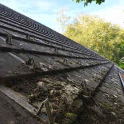 demoussage-gouttiere-3