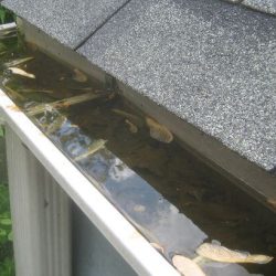 gouttiere-bouchee-nettoyage