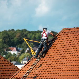 roofers-2891664