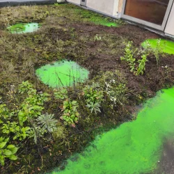 test-colorant-fuite-2